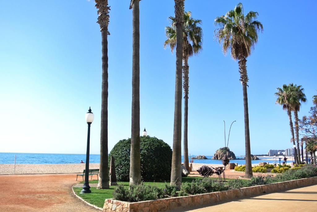 Aiguaneu Apartaments Center Blanes Dış mekan fotoğraf